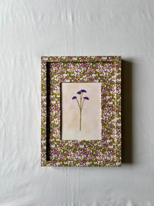 Wisteria